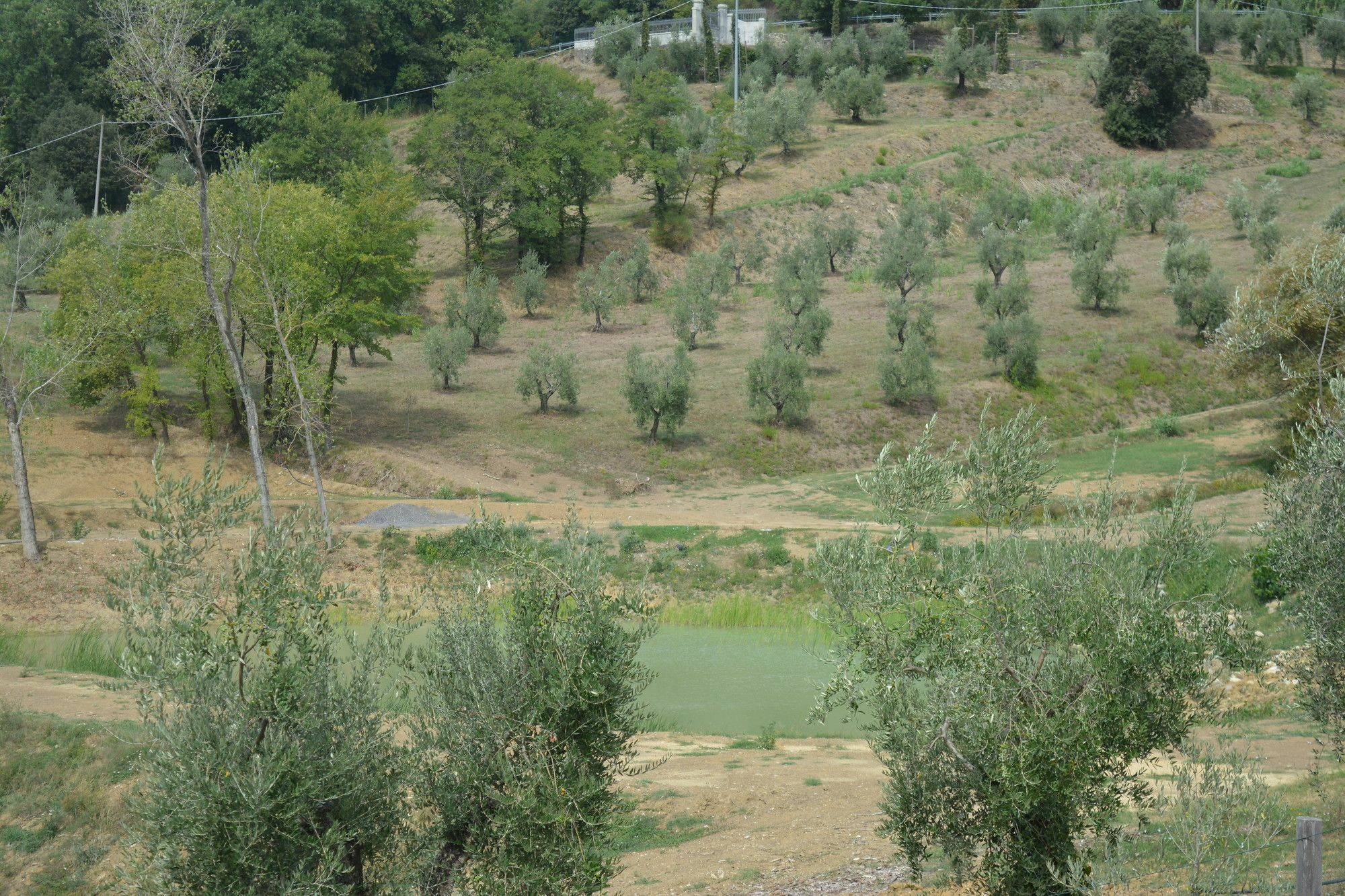 Podere Delle Fanciulle Pistoia Exteriér fotografie