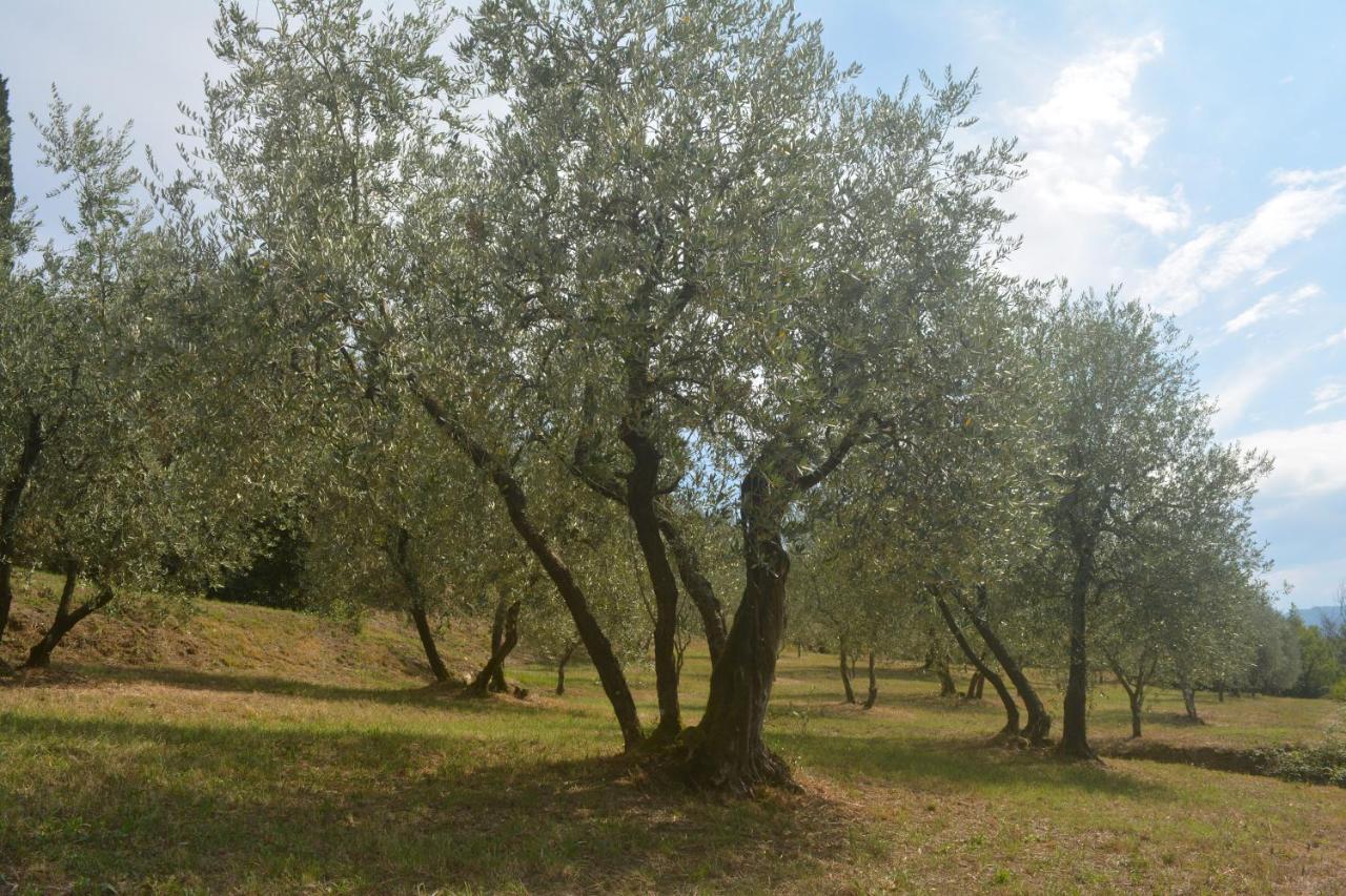 Podere Delle Fanciulle Pistoia Exteriér fotografie